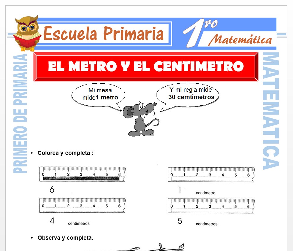 Ficha de El Metro y El Centimetro para Primero de Primaria