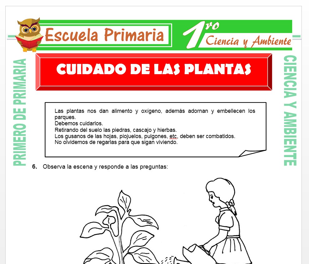 Ficha de Cuidado de Las Plantas para Primero de Primaria
