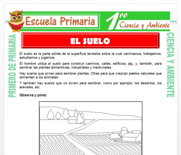 El Suelo para Primero de Primaria – Escuela Primaria