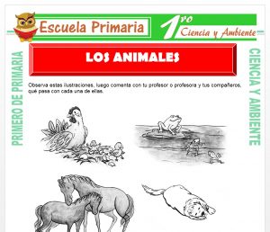 Ficha de Los Animales para Primero de Primaria