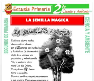 Ficha de La Semilla Magica para Segundo de Primaria