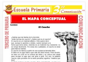 Ficha de El Mapa Conceptual para Tercero de Primaria