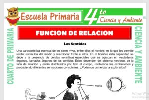 Ficha de Funcion de Relacion para niños de Cuarto de Primaria