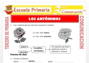 Ficha de Los Antónimos para Tercero de Primaria