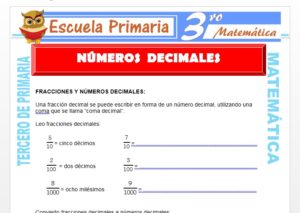 Ficha de Números Decimales para Tercero de Primaria