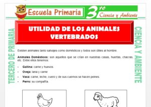 Ficha de Utilidad de los Animales Vertebrados para Tercero de Primaria