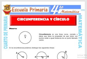 Ficha de Circunferencia y Círculo para Cuarto de Primaria