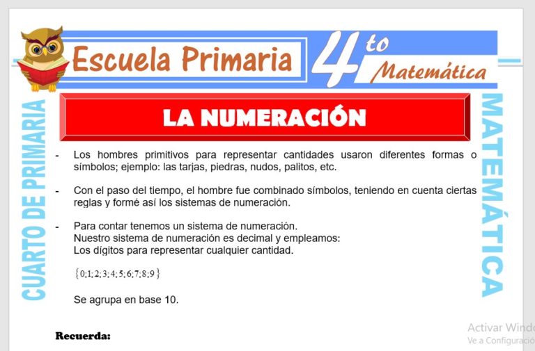 Elementos básicos de la Estadística para Cuarto de Primaria