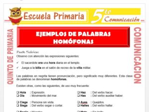 Modelo de la Ficha de Ejemplos de Palabras Homófonas para Quinto de Primaria
