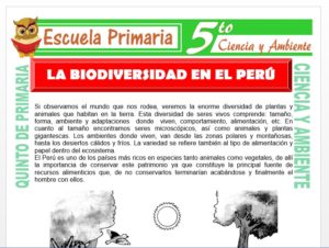 Modelo de la Ficha de La Biodiversidad en el Perú para Quinto de Primaria