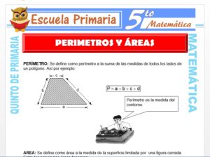 Modelo de la Ficha de Perimetros y Areas para Quinto de Primaria