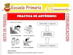 Modelo de la Ficha de Practica de Antónimos para Sexto de Primaria