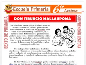 Modelo de la Ficha de Don Tiburcio Mallaupoma para Sexto de Primaria