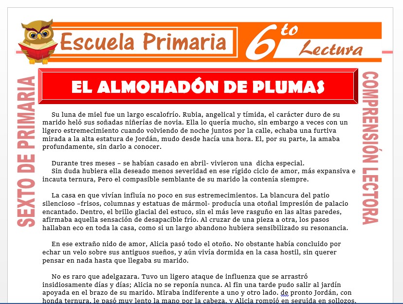 Comentario De El Cuento El Almohadon De Plumas