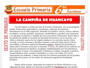 Modelo de la Ficha de La Campiña de Huancayo para Sexto de Primaria