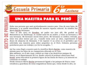 Modelo de la Ficha de Una Maestra Para EL Perú para Sexto de Primaria