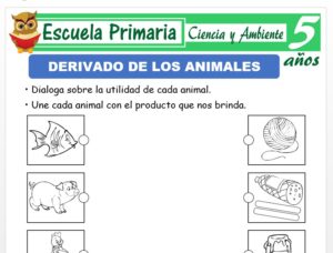 Modelo de la Ficha de Derivado de los animales para Niños de 5 Años