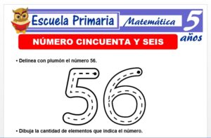 Modelo de la Ficha de El nùmero 56 para Niños de 5 Años