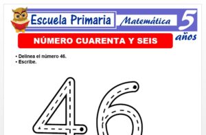 Modelo de la Ficha de El nùmero 46 para Niños de 5 Años