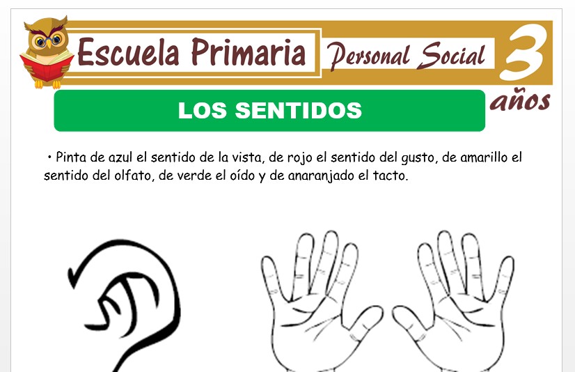 Modelo de la Ficha de Los sentidos para Niños de 3 Modelo de la Ficha de Los sentidos para Niños de 3