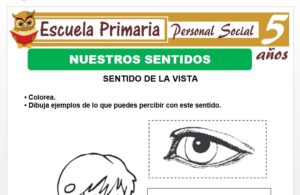 Modelo de la Ficha de Nuestros sentidos para Niños de 5 Años